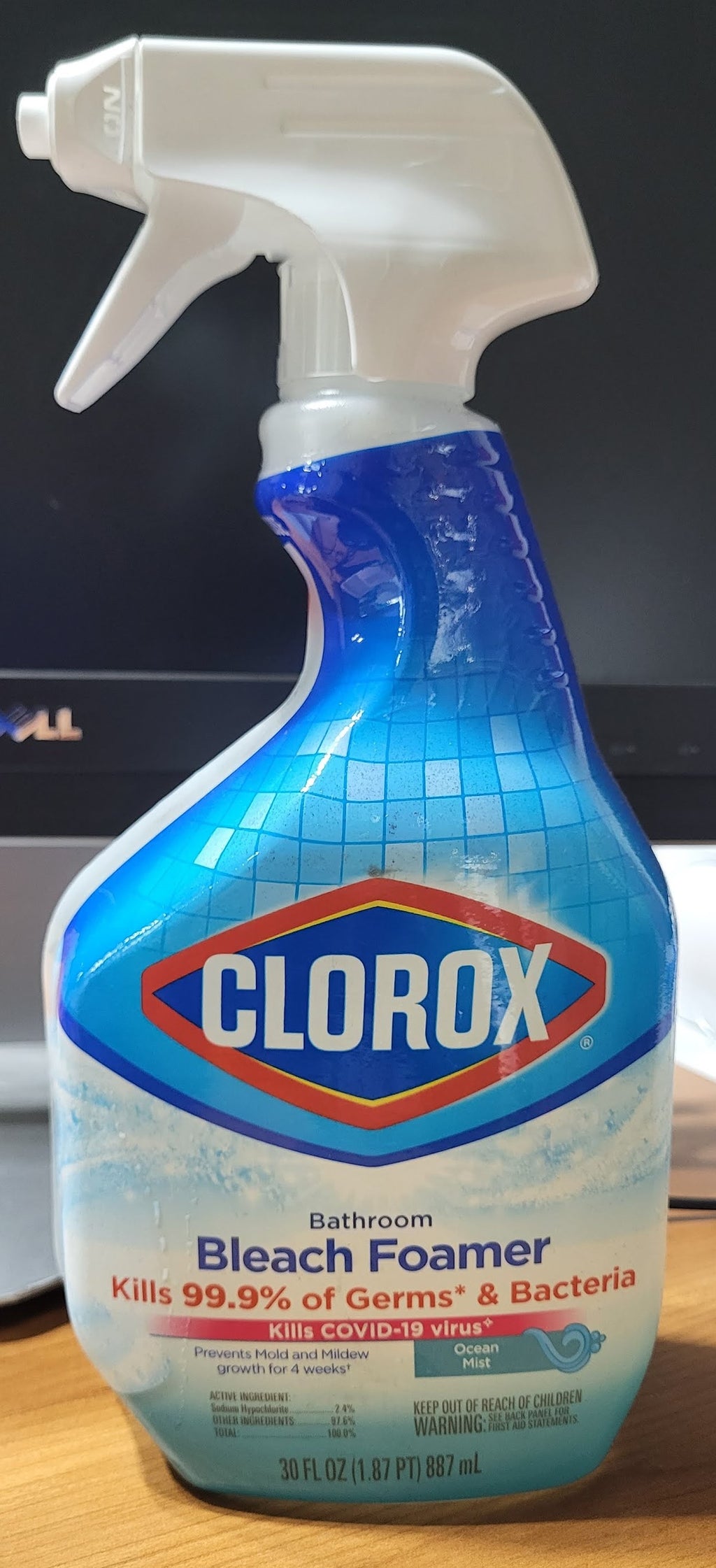 Clorox Bleach Foam Bathroom